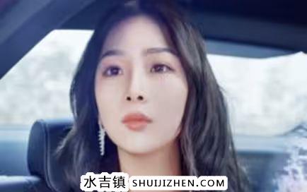 女总裁还乡又美又飒